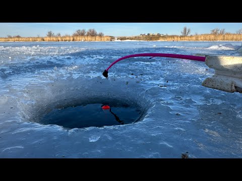 Видео: Эта снасть как всегда вне конкуренции! Зимняя рыбалка 2025
