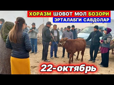 Видео: ХОРАЗМ ШОВОТ МОЛ БОЗОРИ… ЁШ ХЎКИЗЧАЛАР САВДОЛАРИ  22-октября 2025 г.