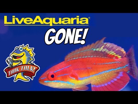 Видео: Ушел титан индустрии