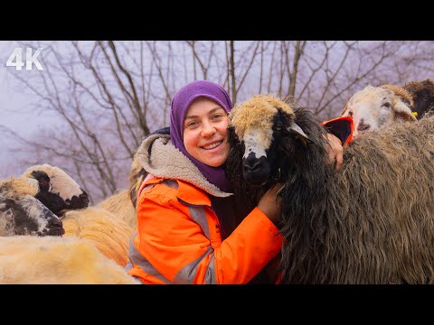 Видео: Счастливая семья в горах - Мир молодой пастушки | Документальный-4К