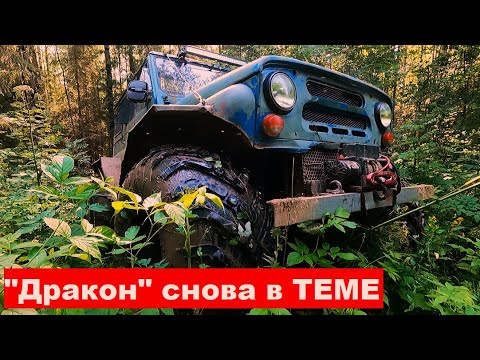 Видео: "Дракон" снова в "ТЕМЕ". Металло коп по битым мною же местам. Здесь были ТОННЫ МЕТАЛЛА.