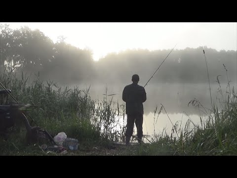 Видео: Рыбалка туманным утром на поплавок на крупного карася - ищу закономерности
