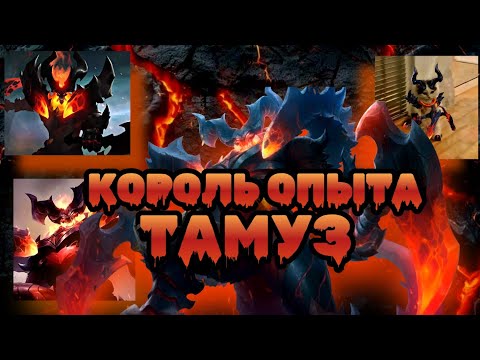 Видео: ТАМУЗ – Король ОПЫТА ПОЛНЫЙ ГАЙД | ФАЙТ Против ФОВИУСА