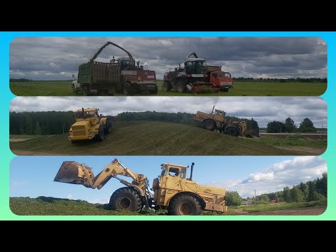 Видео: Продолжается заготовка кормов.