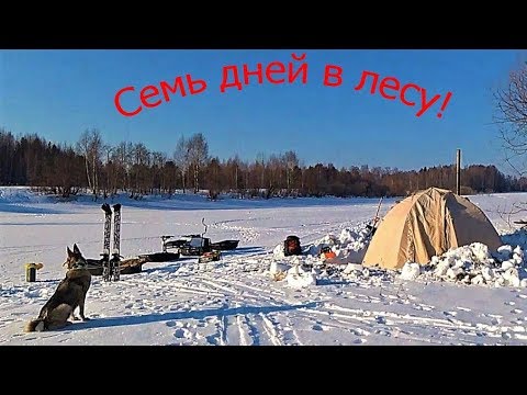 Видео: ''СЕМЬ ДНЕЙ В ЛЕСУ'' ЖИВУ В ПАЛАТКЕ! НАШЕЛ ЧАГУ, УСТАНАВЛИВАЮ ЖЕРЛИЦЫ