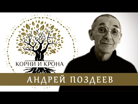 Видео: «Корни и крона». Андрей Поздеев