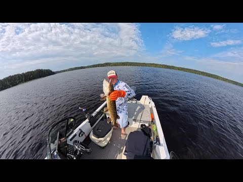 Видео: Рыбалка на озере с сыном.Отпуск с семьёй.