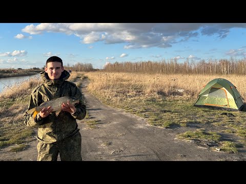 Видео: Ловля сазана на озере сартлан