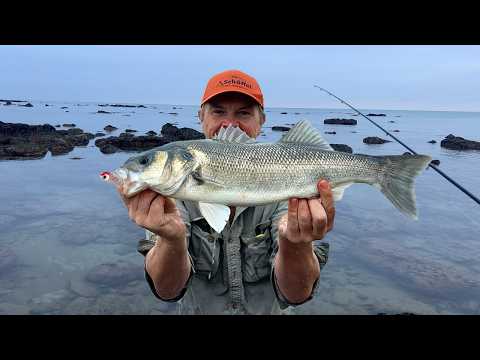 Видео: Она ПОПАЛА! Приманка прямо ПЕРЕД МНОЙ! – Невероятная ЯСНОСТЬ. Ловля окуня в верхних слоях воды.
