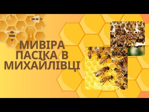 Видео: Мивіра пасіка в Михайлівці