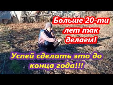 Видео: Земля сгорит от него.Голубиный и Куриный помет как удобрение.Птичий помет как Мы им удобряем огород.