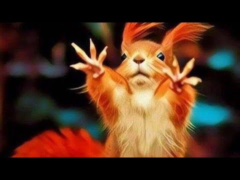 Видео: 🔥🔥СКОРО🔥ЧТО СЛУЧИТСЯ‼️ ИНФОРМАЦИЯ ПОТОКА💯 УЖЕ НА ПОРОГЕ💣⚖️❄️❄️❄️