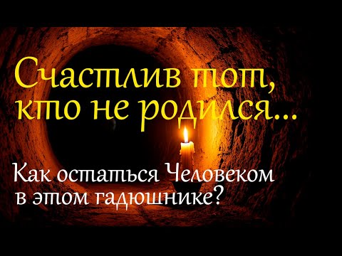 Видео: Счастлив тот, кто не родился... Как остаться Человеком в этом гадюшнике?..