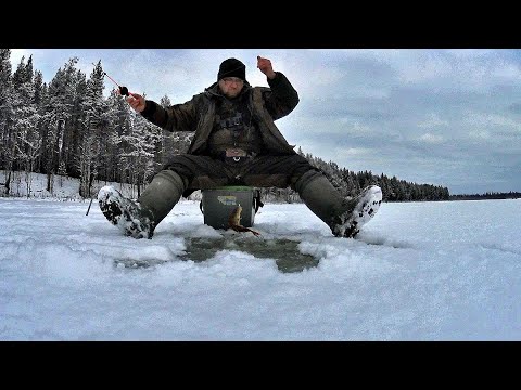 Видео: Рыбалка на озере! Рыба есть! Коми. Ноябрь.