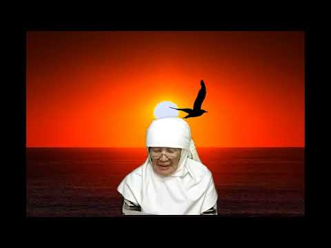 Видео: Сатылған сәбилерСектанттарНЛО Кнб риталу Қытайда құнсыздануПолияцияға құрбандықТәжік зілзалаАпатТайғ