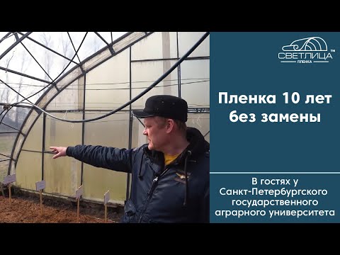 Видео: Теплица под пленкой 10 лет без замены | Отзыв кандидата сельскохозяйственных наук о пленке СВЕТЛИЦА™