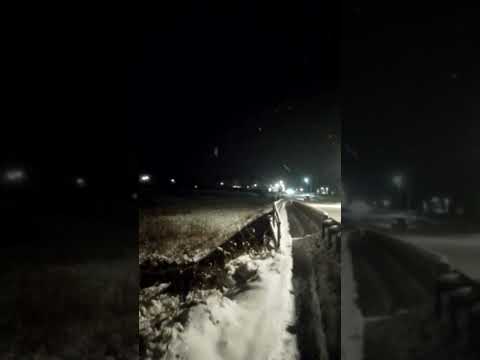 Видео: Бездействие глав района и села. Бродячий скот без присмотра хозяев и отсутствие на селе пастуха.