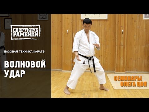 Видео: Каратэ Шотокан. Уроки Олега Цоя. Волновой удар