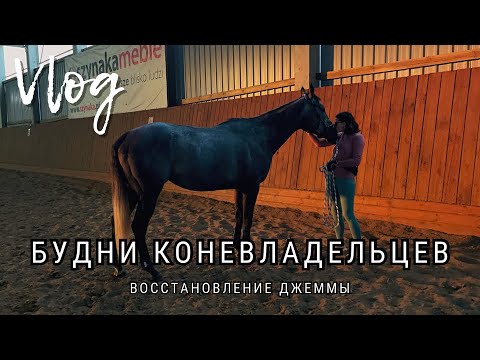 Видео: Будни коневладельцев | Восстановление Джеммы