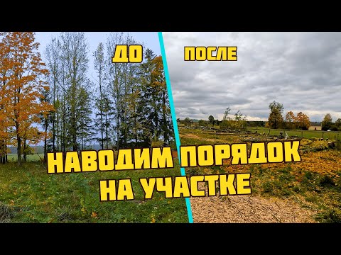 Видео: Дробим ветки, валим деревья - расчищаем участок