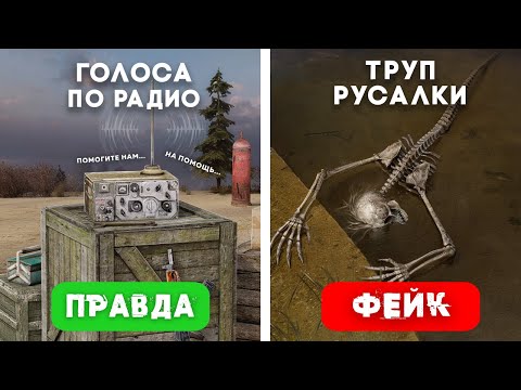 Видео: Проверка 15 МИФОВ из STALKER - Правда или Фейк