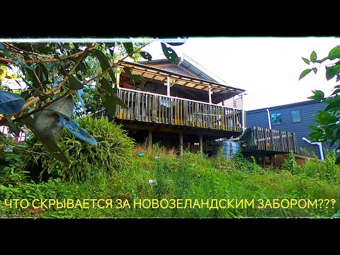 Видео: Какой дом мы снимаем в Новой Зеландии, наши соседи , райончик, и переезд в другой дом