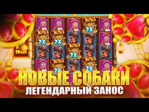 Видео: РИСКНУЛ НА ПОСЛЕДНИЕ В НОВОМ DOG HOUSE MUTTLEY CREW! ALL IN И ЗАНОСЫ НЕДЕЛИ!