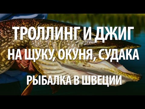 Видео: ТРОЛЛИНГ и ДЖИГ на ЩУКУ, ОКУНЯ, СУДАКА. РЫБАЛКА в ШВЕЦИИ ТРОЛЛИНГОМ и ДЖИГОМ