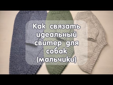 Видео: Как связать спицами свитер для собак (мальчики), Обзор