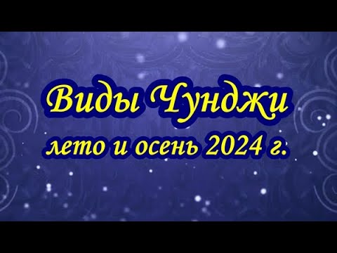 Видео: Виды Чунджи. Лето и осень 2024 г.