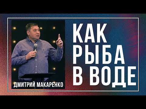 Видео: Дмитрий Макаренко – Как рыба в воде