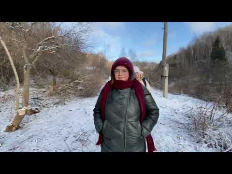 Видео: Как мы ходили к водопаду.