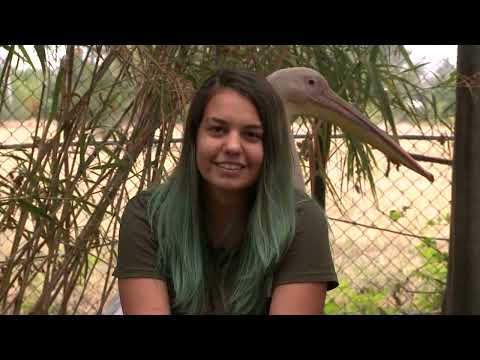 Видео: ИСТОРИИ С ПОУКА – срещи с любимците на СЦДЖ Зелени Балкани