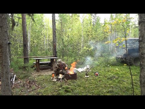 Видео: На ТурБазу с Таёжным Туристом.