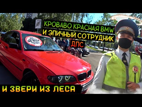 Видео: СтопХам-BMW это диагноз\САМЫЙ ТРЭШОВЫЙ ВЫПУСК!