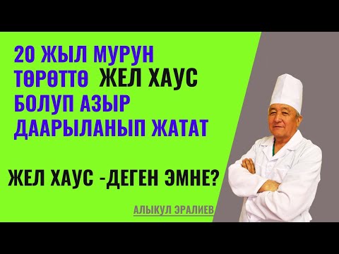 Видео: 20 жыл мурун ЖЕЛ ХАУС болуп, эми даарыланып жатат.ЖЕЛ ХАУС деген эмне ?