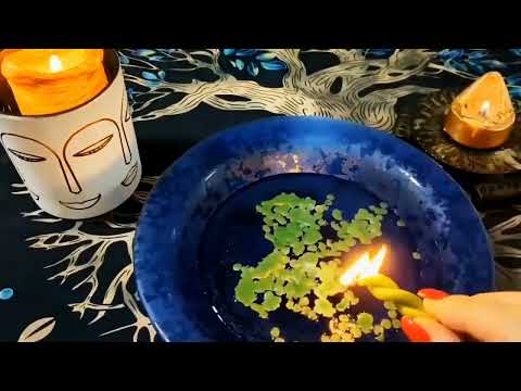 Видео: ❗️Что будет Дальше?  ...🌷💖 ♥️ онлайн гадание❗️200% точно ВСЕ о Вашей жизни... Скорые Перемены...