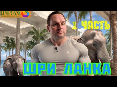 Видео: 1 часть.  Шри Ланка в 2024 году в сентябре!  Перелет, обзор номера, экскурсия.