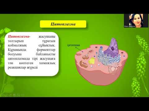 Видео: Жасуша дегеніміз не?