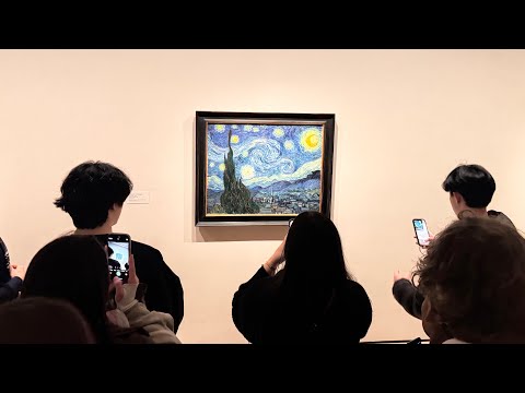 Видео: Как мы в музей MoMa сходили