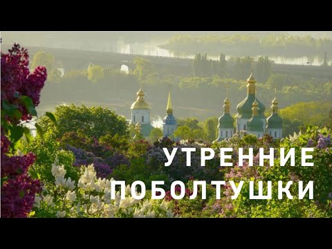 Видео: Утренние поболтушки 😇☘️❤️🥰