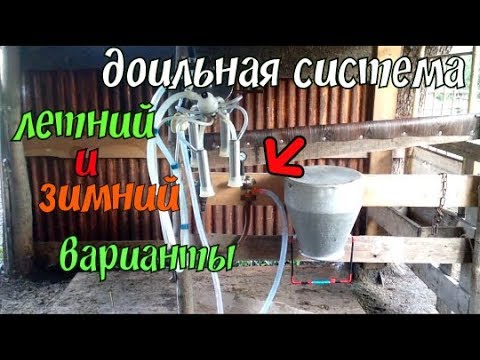 Видео: как сделать доильную систему// летний и зимний варианты