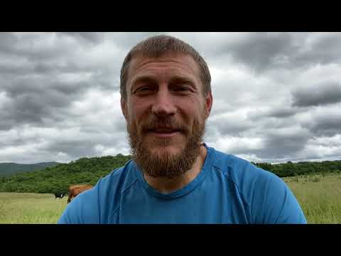 Видео: Что такое вегетарианство?🔥