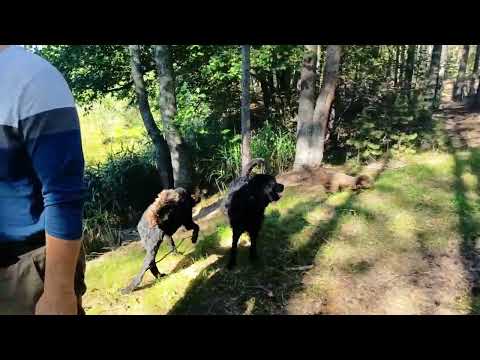 Видео: Озеро,где водятся щука