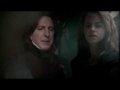 Видео: Помощница