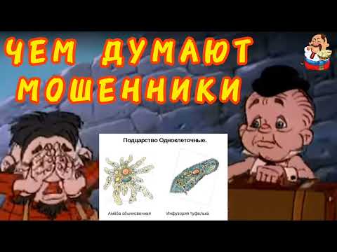 Видео: ЧЕМ ДУМАЮТ МОШЕННИКИ.