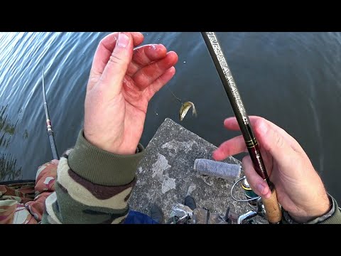 Видео: РЫБАЛКА НА МАЛЬКА! ОКУНЬ НА ВЕРХОВКУ И НА ХВОСТ! ВРЕМЯ ЛОВИТЬ ХИЩНИКА НА ЖИВУЮ ПРИМАНКУ!