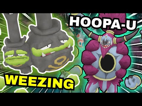 Видео: Seeds Hoopa и Misty Surge Weezing! Pokemon VGC Reg J Competitive Wi-Fi Battle