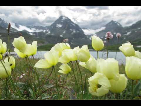 Видео: ГЛАДКОВ _Алтая горные хребты