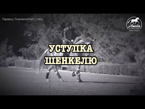 Видео: Уступка шенкелю : о движении, о средствах управления, об ошибках и т.д.